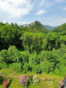 a view of a hill with flowers and trees at Appartamento Belvedere in Frabosa Soprana