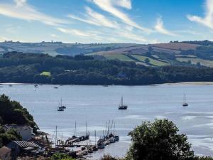 a view of a large body of water with boats at 2 bed property in Galmpton BX008 in Galmpton-on-the-Dart