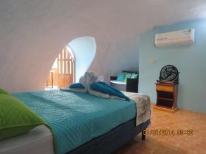 Domito Corcovado في دريك: غرفة نوم مع سرير مع نافذة مقوسة