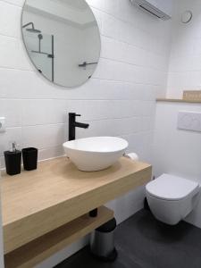 La salle de bains est pourvue d'un lavabo, de toilettes et d'un miroir. dans l'établissement Zee en Zicht, à La Panne