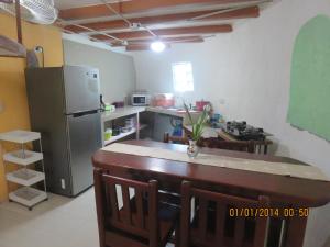 Kuchyň nebo kuchyňský kout v ubytování Domito Corcovado