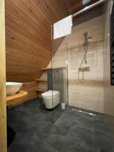 a bathroom with a shower and a toilet and a sink at Stella Haus in Dzianisz