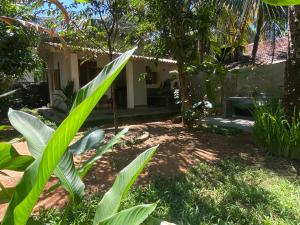 Κήπος έξω από το Kithul house +6 φωτογραφίες