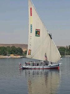un barco con una gran vela blanca en el agua en Dream of life, en Naj‘ al ‘Amrāb
