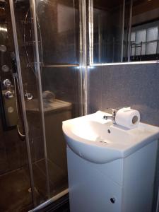 La salle de bains est pourvue d'un lavabo et d'une douche. dans l'établissement Casa Salkantay Mini Departamento, à Cusco