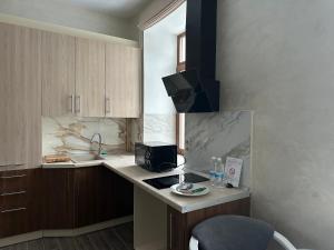 uma cozinha com um balcão com um lavatório e um micro-ondas em Centralnyi hotel em Poltava