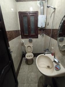 a small bathroom with a toilet and a sink at Victoria Hostel in Alexandria