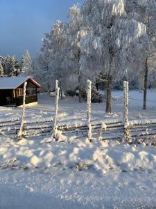 a garden covered in snow with a cabin in the background at Siljansnäs Stugby & Resort in Siljansnäs