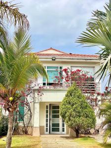 a white house with a palm tree in front of it at Villla en la playa Cartagena 5 in Cartagena de Indias