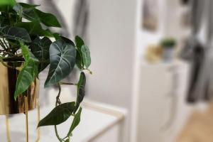 Fotografie z fotogalerie ubytování Douai est à vous ! v destinaci Douai