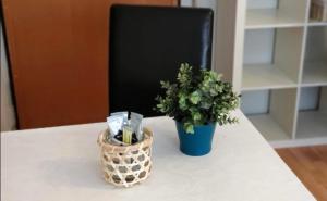 Studio Inn Bucharest, National Arena, Monza Hospital, Late check-out depends on availability