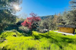 una cabaña en medio de un campo de hierba en Gîte des 3 vallées - Le soleil des Cévennes, en Saint-Jean-du-Gard