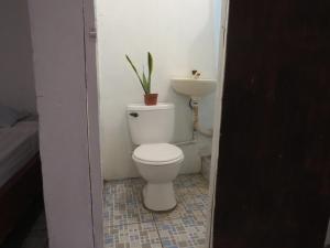 a bathroom with a toilet and a sink at Holanda House in Moyogalpa