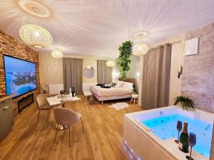 sala de estar con bañera y dormitorio en La Parenthèse - Votre Cocon au Centre d'Oyonnax, en Oyonnax