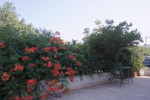 Ein Garten an der Unterkunft Apartment Lavanda
