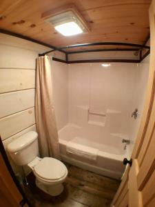 a bathroom with a toilet and a bath tub at Tiny Home Cottage Near the Smokies #1 Olga in Sevierville