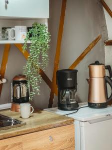 薩潘賈的住宿－Astral WORLD，厨房的柜台上的咖啡壶