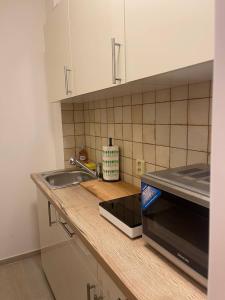 encimera de cocina con fregadero y microondas en Parkside Apartments Praha en Praga