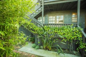 a house with a staircase and plants in front of it at The Venice Beachwood in Los Angeles