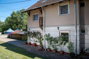 a house with potted plants on the side of it at Sorompó Vendégház in Balatonkenese