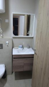 Aïn Harrouda的住宿－Appartement Calme avec Piscine Mohemmadia Zenata，一间带水槽、镜子和卫生间的浴室