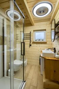 提利茲的住宿－Domek Tylicz Widoki，带淋浴、卫生间和盥洗盆的浴室