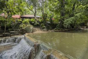 a waterfall in front of a pond in a garden at Las Margaritas - La Tigrera, Minca in Santa Marta