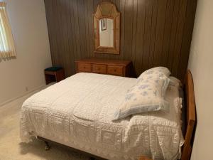 a bedroom with a bed with a dresser and a mirror at Stay near Beautiful San Felipe Creek. in Del Rio