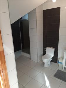 uma casa de banho com um WC e uma cabina de duche ao nível do chão em Willa Kumat em Brańsk