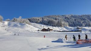 flueli holiday home urnaesch durante el invierno