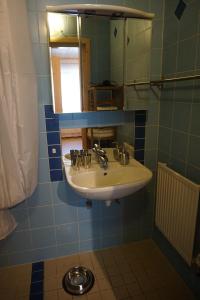 uma casa de banho com um lavatório e um espelho em Seminar- und Erlebnishof Das schwarze Schaf em Bad Gams