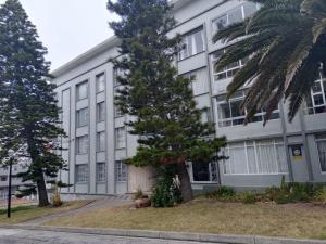 eine Palme vor einem Gebäude in der Unterkunft San Remo on Windermere Rd. Humewood Beachfront in Gqeberha