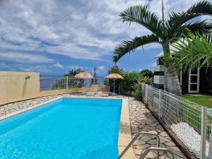 a swimming pool with a palm tree and a house at Lilie location sud in Petite Île