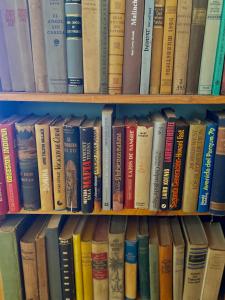 un montón de libros sentados en un estante en Tannenberg Casa de época en El Bolsón
