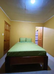 a bedroom with a green bed in a room at Residencia las brisas Griegas in Quepos