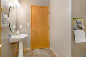 a bathroom with a sink and a wooden door at Fawn Court - Wildernest in Silverthorne