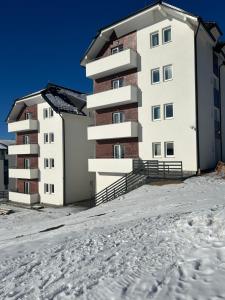 Ramondia, Kopaonik v zimě