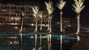 a group of palm trees next to a pool at night at Easttown Central Park apartment in Cairo