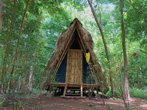 uma pequena cabana no meio de uma floresta em Huellas Hostel em Santa Cruz