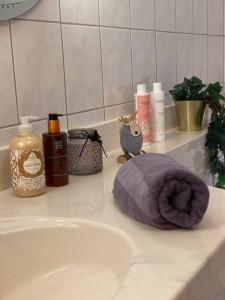 eine Badezimmertheke mit einem Waschbecken und einem lila Handtuch in der Unterkunft NEUES ruhiges Apartment, Bergblick, Stellplatz in Bischofswiesen