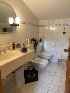 ein Bad mit einem Waschbecken und einem WC in der Unterkunft NEUES ruhiges Apartment, Bergblick, Stellplatz in Bischofswiesen