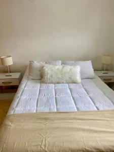 サンタフェにあるAmplio departamento céntricoの白いシーツと枕が備わった大きなベッド