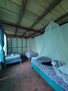 Postel nebo postele na pokoji v ubytování Life for Life Hostel Drake Bay Home of Sea Turtle Marine Conservation Project Osa Peninsula near San Josecito Beach