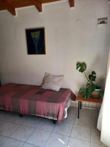 a bedroom with a bed and a table with a plant at Cabañas Mérida Hollywood in El Hoyo