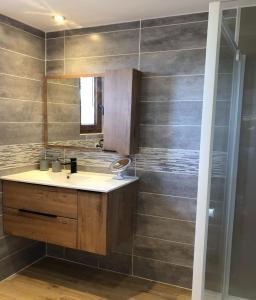 La salle de bains est pourvue d'un lavabo et d'une douche. dans l'établissement Gite des Hauts Jardins, à Ban-sur-Meurthe-Clefcy