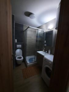 Koupelna v ubytování APARTMAN GREEN HILLS 20