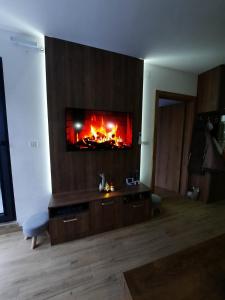 Gallery image of APARTMAN GREEN HILLS 20 in Divčibare +15 photos