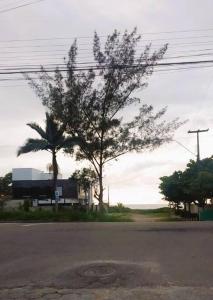 a street with a palm tree and a truck at Apartamento Aconchegante 20mts da praia, 3quartos. in Guaratuba