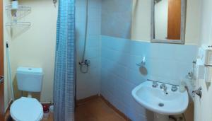 a bathroom with a sink and a toilet and a mirror at DEPARTAMENTOS FORTIN in Trevelin +2 photos