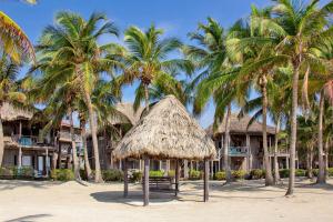 ein Resort am Strand mit Palmen in der Unterkunft C4 - Villa McDonald in San Pedro